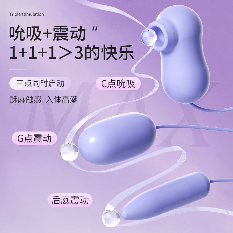 Purple Clitoral Vibrator | Powerful Bullet Vibrator for Women