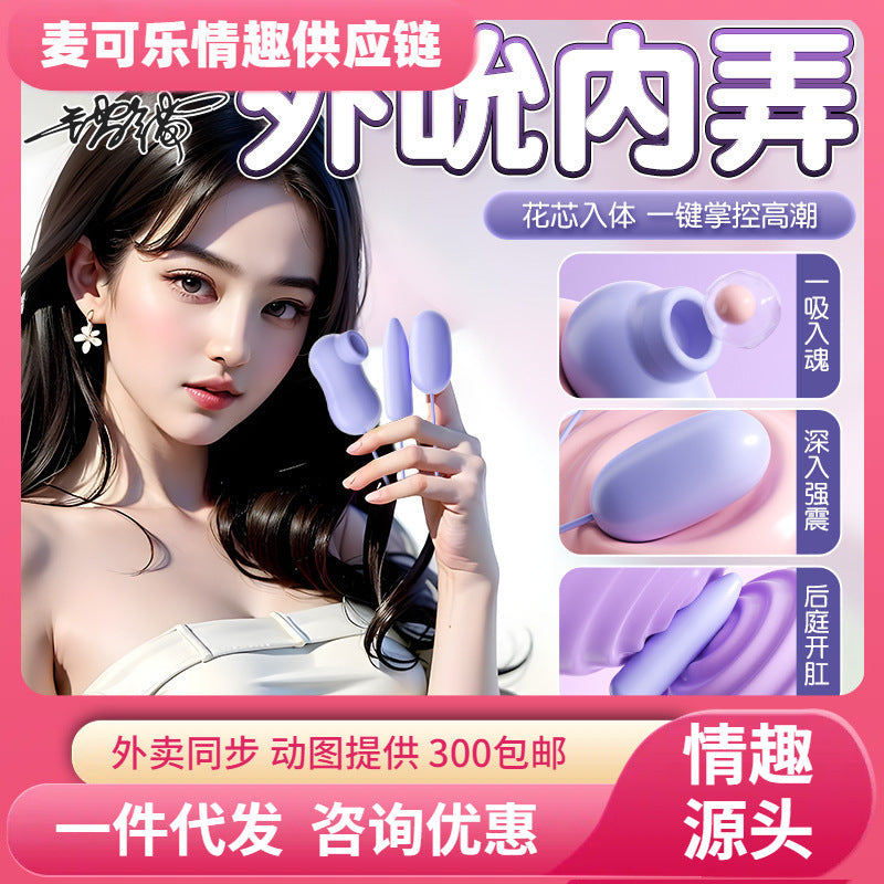 Purple Clitoral Vibrator |   Powerful Bullet Vibrator for Women