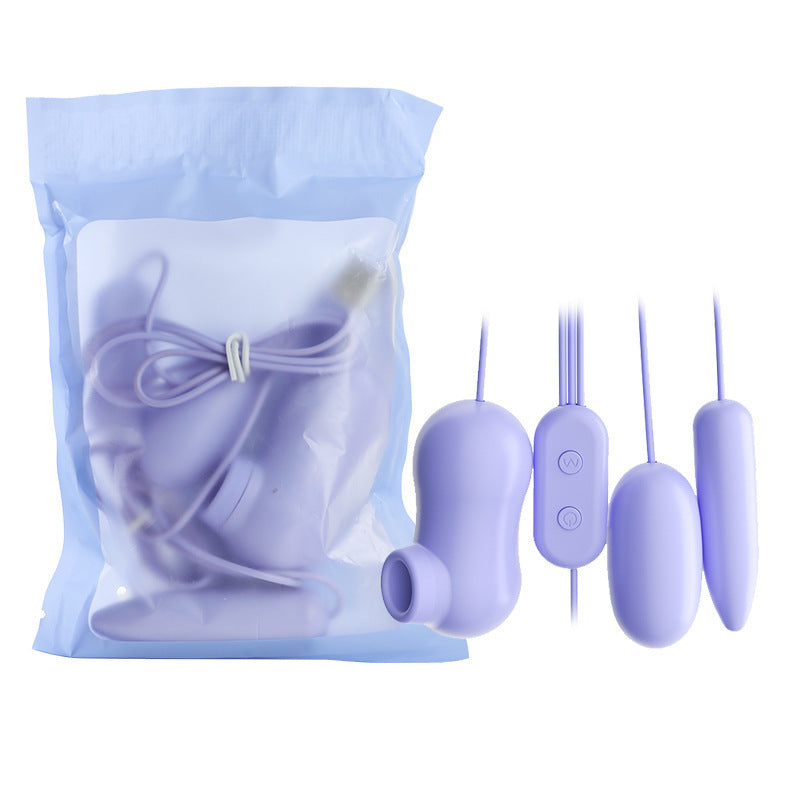 Purple Clitoral Vibrator |   Powerful Bullet Vibrator for Women