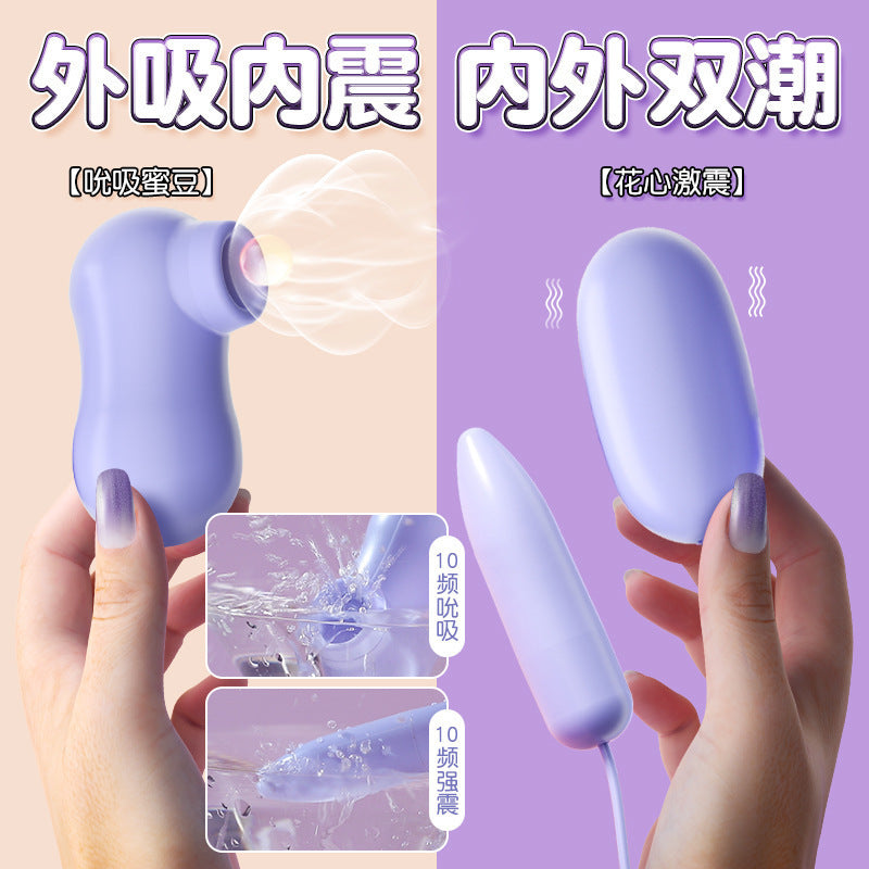 Purple Clitoral Vibrator |   Powerful Bullet Vibrator for Women